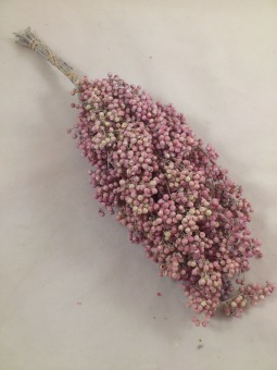 Pepperberries frosted
